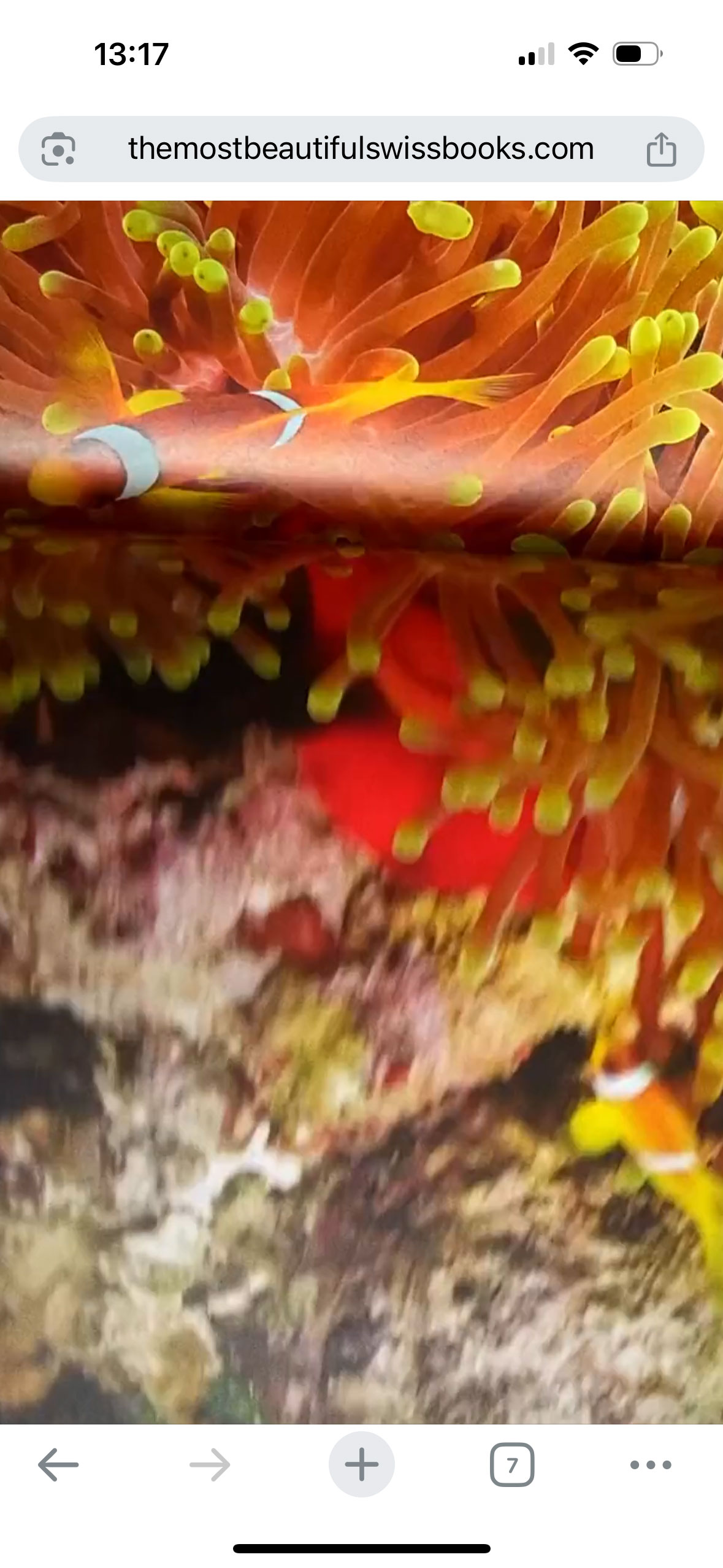 Adriano Orlando does the development for The Most Beautiful Swiss Books with Meide Engineering. Images of fish swimming screenshotted within the site loading video.